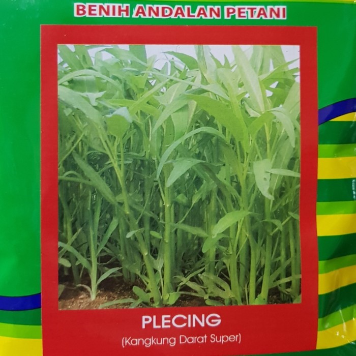 ~@~@~@~@] Bibit Kangkung Darat Super