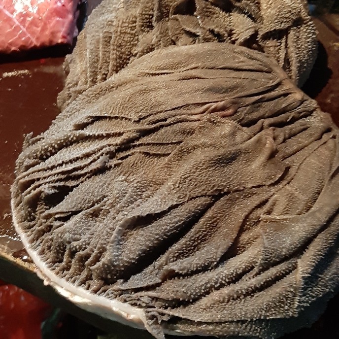 

Babat Sapi Lokal 1Kg (1000G)