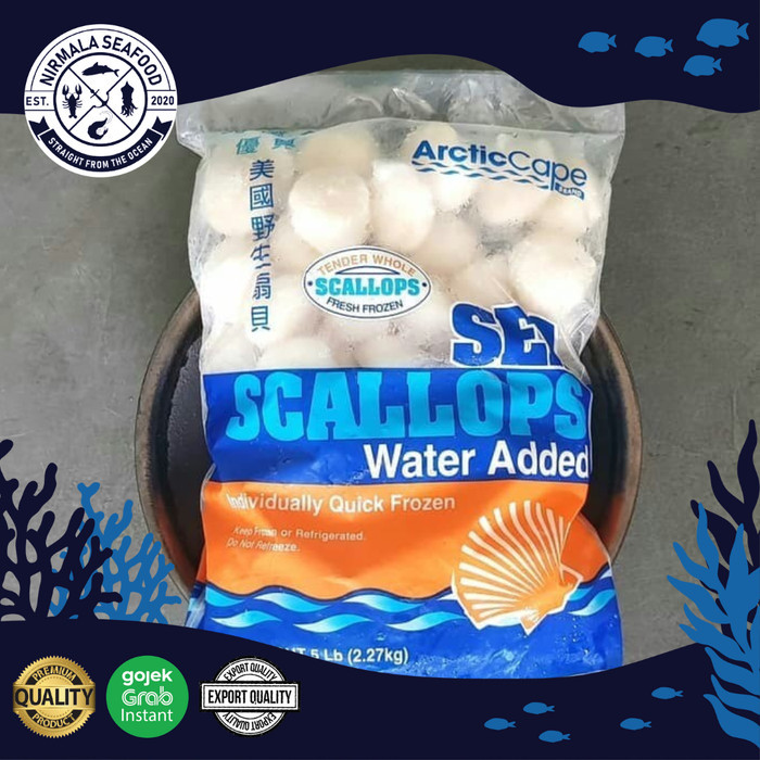 

Sea Scallops Import Usa Longline Fisher