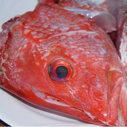 

Kepala Kakap Potong Segar 1Kg