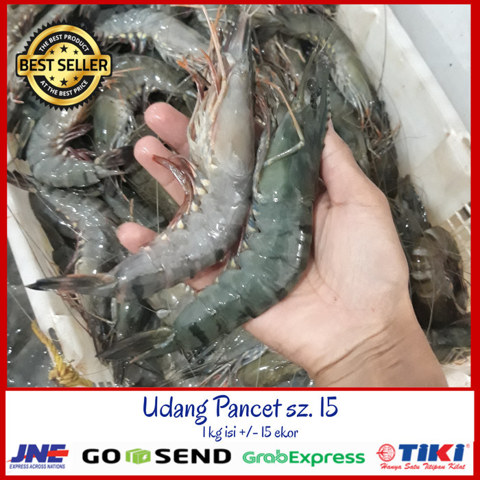 

Udang Pancet Besar Size 15 500 Gr/Udang Pancet Jumbo/Udang Windu Besar