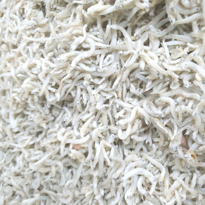 

Teri Toge Medan 500 Gram