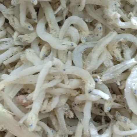 

Teri Nasi 250Gr