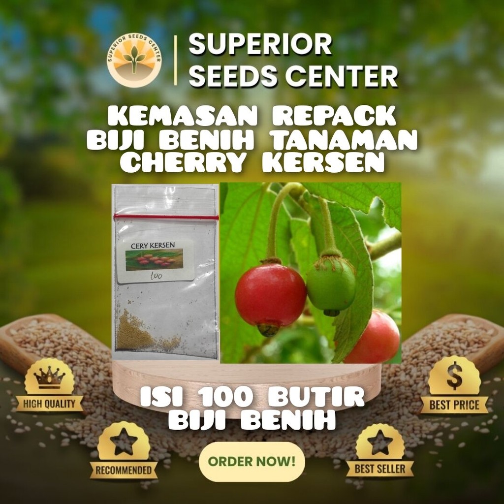 100 Butir Biji Benih Tanaman Cherry Kersen | Ceri (Kemasan Repack Plastik Klip)