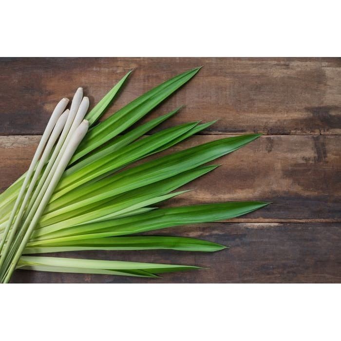 

Daun Pandan Segar 100 Gram