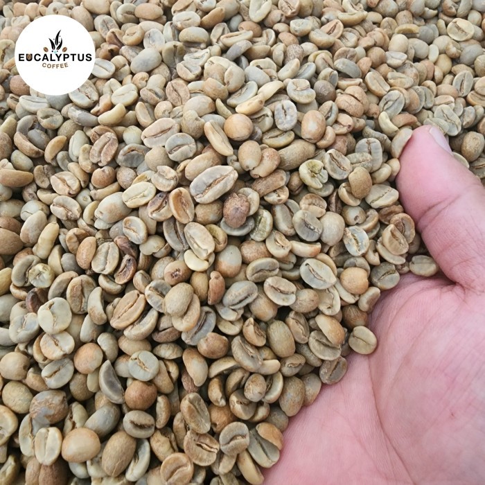 

Arabika Gunung Tilu Fermentasi Anaerob -Natural- Green Bean/Biji Kopi Barangbaru