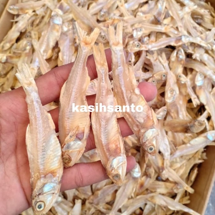 

Teri Tawar Gelaga Jumbo-1Kg Terlaris