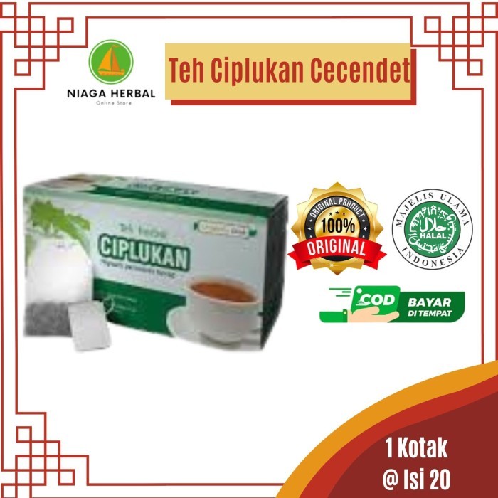 

TEH CELUP CIPLUKAN Cecendet Obat Flu Batuk Teh Herbal Ciplukan Radang