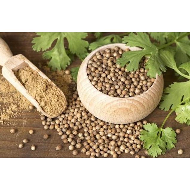 

Ketumbar Bubuk / Coriander Powder - 1Kg Terlaris