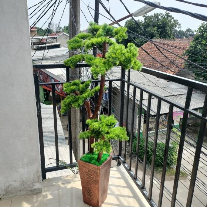 POHON BONSAI CEMARA UDANG/BONSAI CEMARA UDANG ARTIFICIAL/ POHON BONSAI TINGGI 1,5 M 1111T