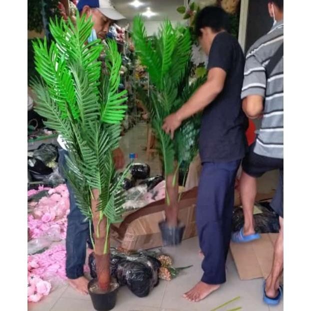 Pohon palem atau palm tree dengan pot artificial tinggi 120 cm