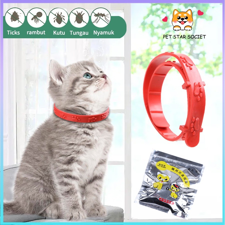 KALUNG MERAH ANTI KUTU Kucing Anjing Murah Lucu Untuk Kitten Aksesoris Bagus Keren Import Dan Nyamuk
