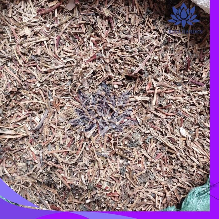 

BINAHONG KERING 100 GRAM - HERBAL BINAHONG DIJAMIN GRATIS ONGKIR