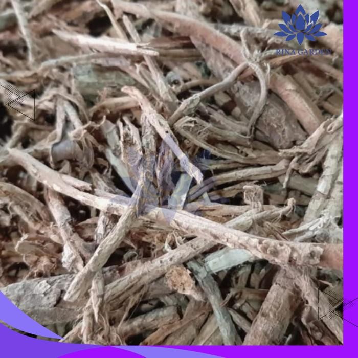 

KAYU RAPET KERING 500GR ASLI / HERBAL KAYU RAPET BEST PRODUCT