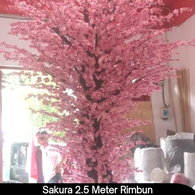 populer] Pohon Sakura 2,5 Meter RIMBUN Model Lurus / Pohon Imlek