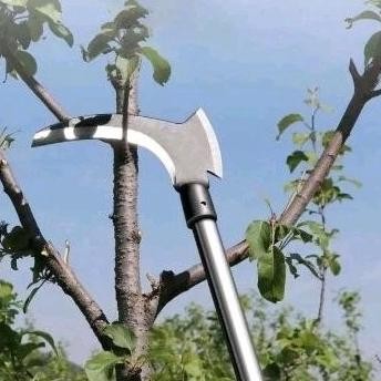 pemangkas rumput ranting pohon Sabit kapak 2 fungsi kerja satu alat