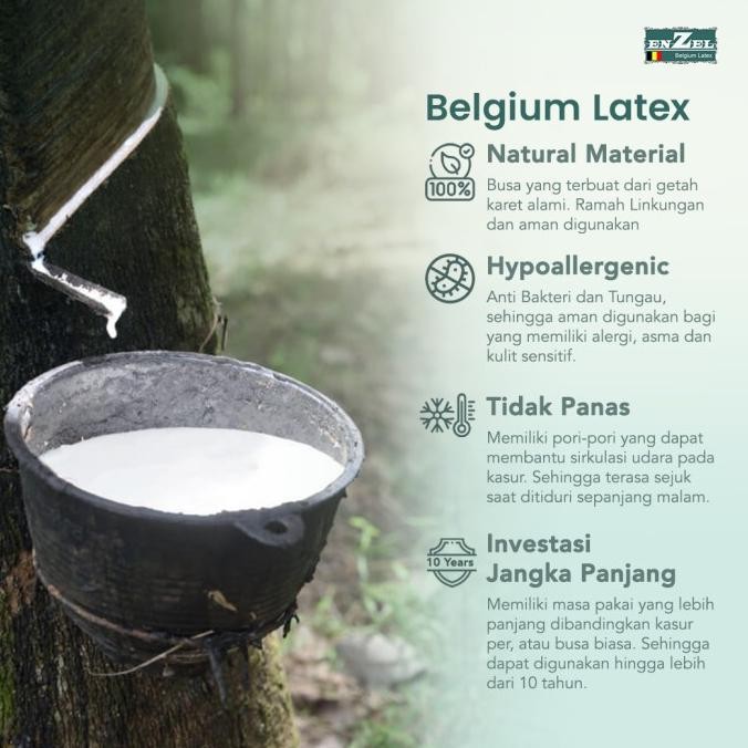 Kasur Latex Enzel Premium Uk 180x200
