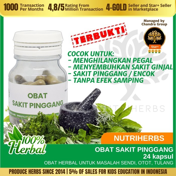 Terlaris Obat Sakit Pinggang Encok Pegal Ginjal Mariza Herbal Nutriherbs Cina