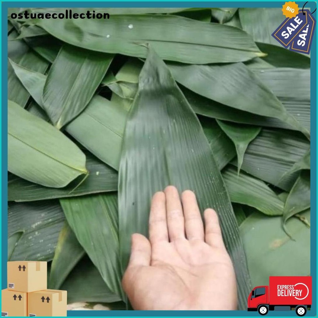 

Promo : 100 Lembar Daun Bambu Big Size 10-15Cm Fresh Bungkus Bacang / Bakcang (Lagi Diskon)