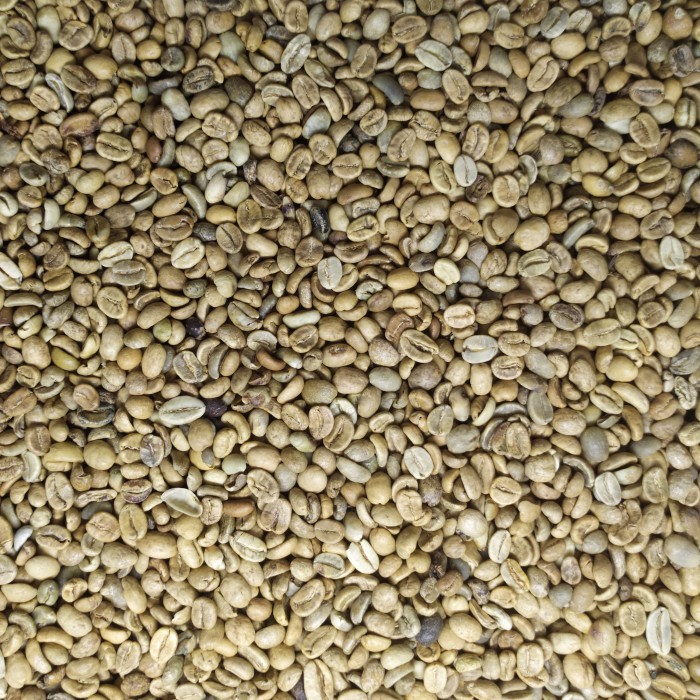 

Green Bean Biji Kopi Arabika Bali Kintamani Full Wash Grade 1 - 1 Kg