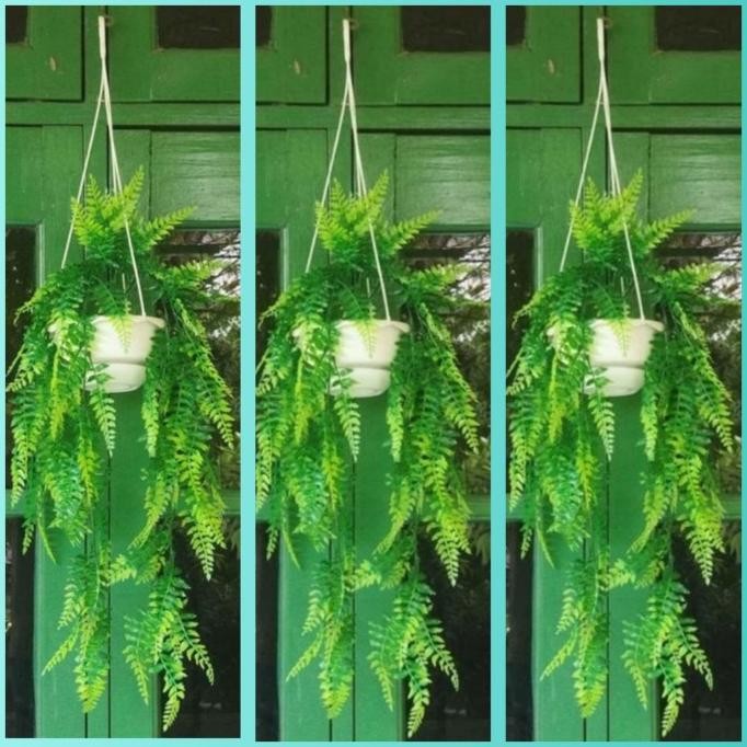 3 set pot gantung dan bunga juntai kemuning artificial plastik