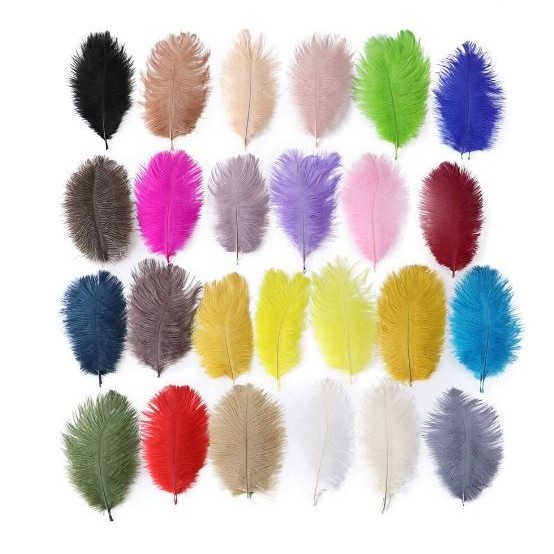 

XU528 Colorful Ostrich Feather - Bulu Burung Unta 15-25cm (1pc) OBRAL