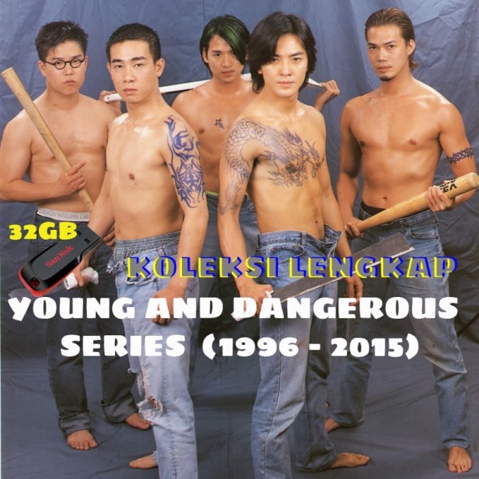 USB Young and Dangerous (EKIN CHENG JORDAN CHAN)