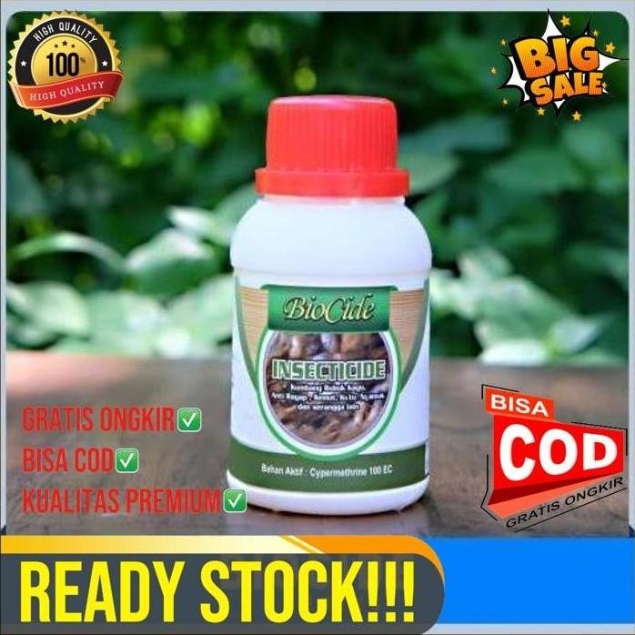 Dijual Obat Kayu Anti Rayap Kumbang Bubuk Dan Serangga Biocide Insecticide