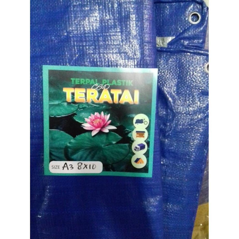 Terpal Plastik 8X10
