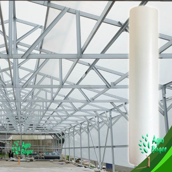 Plastik UV greenhouse ukuran 3 x 100 meter