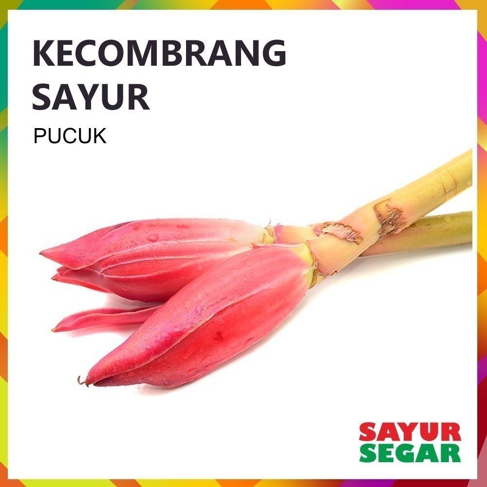 

Kecombrang Sayur - Fresh [1 Batang]