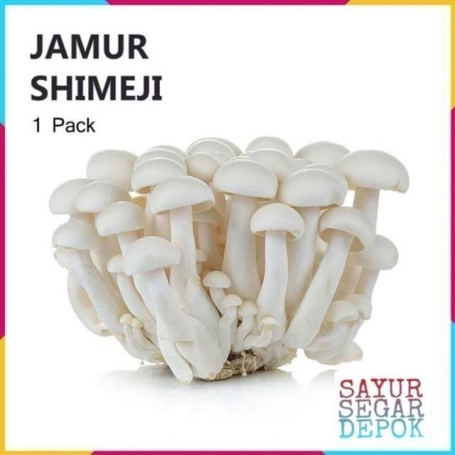 

JAMUR SHIMEJI