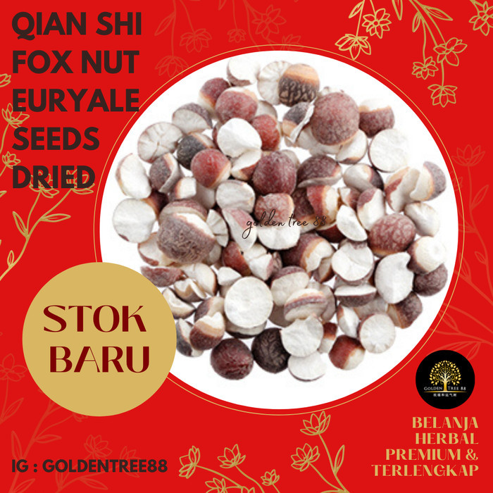 

Legend - 5 Gram Premium Qian Shi Kiansep Fox Nut Euryale Seed