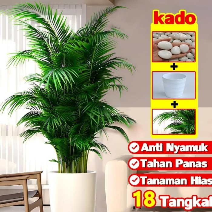 DAUN PALEM PLASTIK DAN POT 85CM DAUN PALEM JUMBODAUN ARTIFICIAL DAN