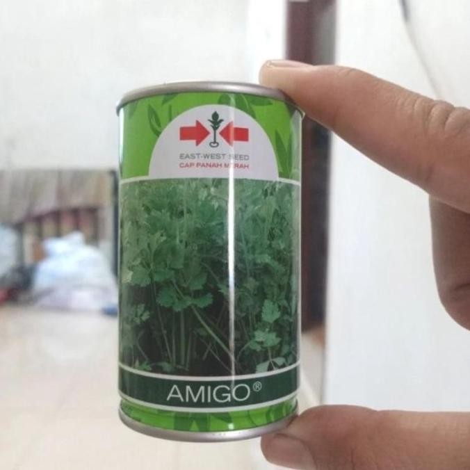 Benih Bibit Seledri Amigo 50 gram Kemasan Kaleng Pabrik