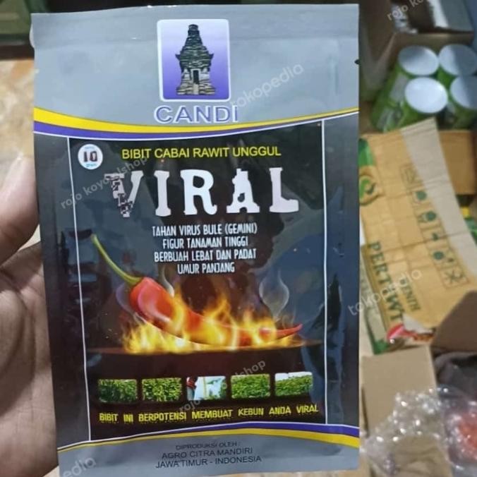 bibit cabe viral 10gr