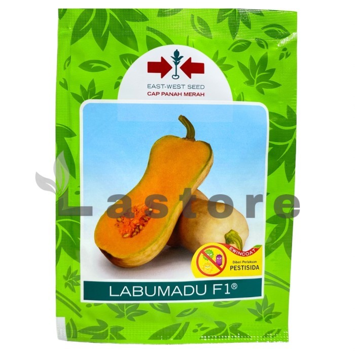 Benih labu Butternut LABU MADU F1 Isi 50 Biji - cap panah merah
