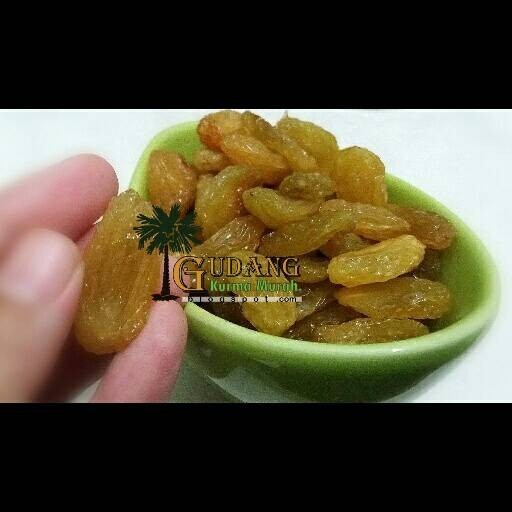 

Ready - Kismis Lion Jumbo Golden Raisin Jumbo Oleh-Oleh Haji Dan Umrah