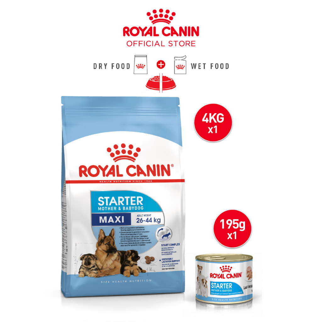 Royal Canin Maxi Starter Mother & Babydog Makanan Induk & Bayi Anjing Dry 4kg + Royal Canin Starter 