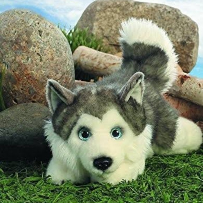 Boneka Anjing Siberian Husky Imut