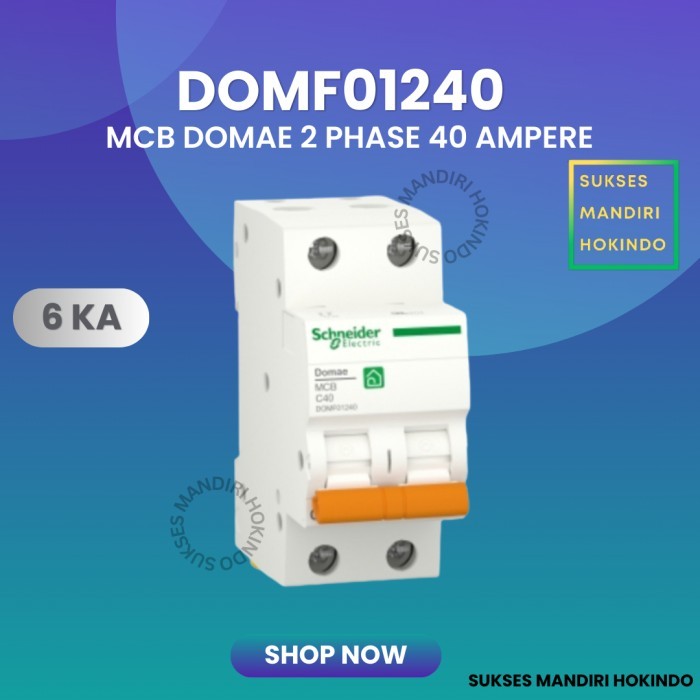 Mcb 2 Phase 40 Ampere 2P 40A 2Pole Schneider Domae Baru 6Ka Ori Sni