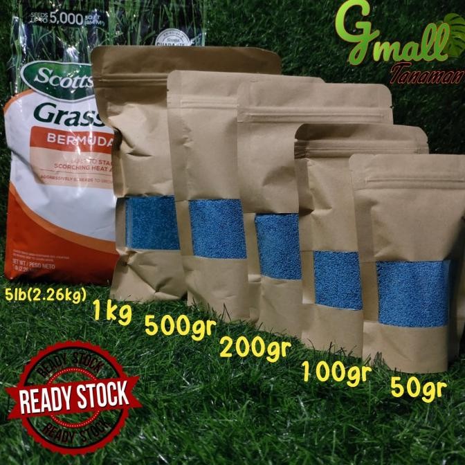 

biji rumput jepang bermuda grass 500gr COD