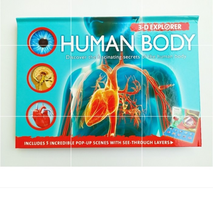 3-D Explorer: Human Body