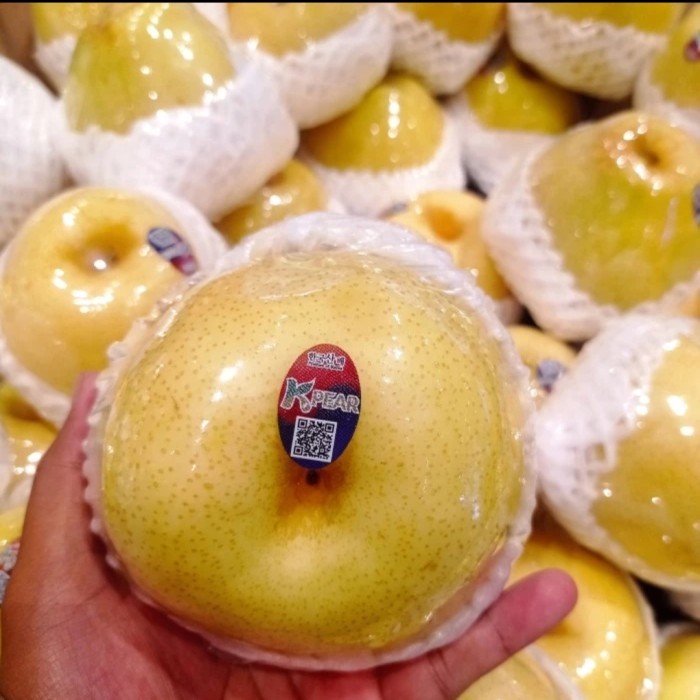 

Pear Golden Korea Pir Korea 1 Kg