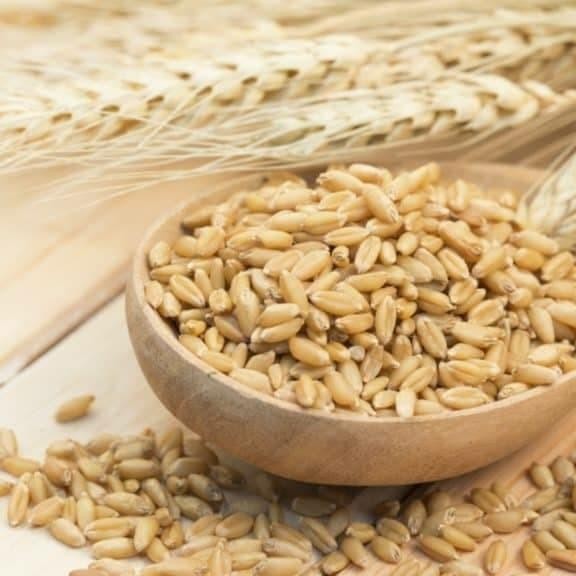 

Natural Pearl Barley 1Kg / Biji Jali / Barley