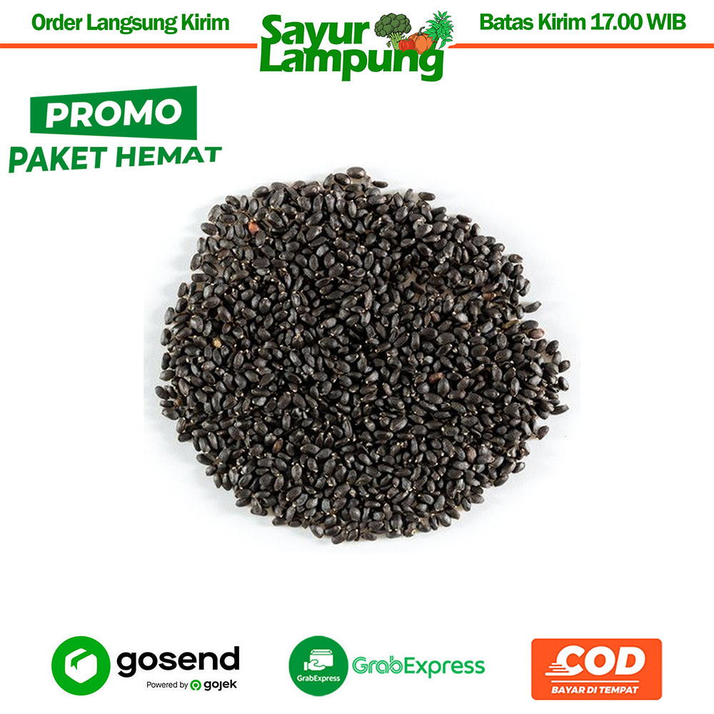 

PaHe Selasih Kering 5 Gr - Sayur Lampung