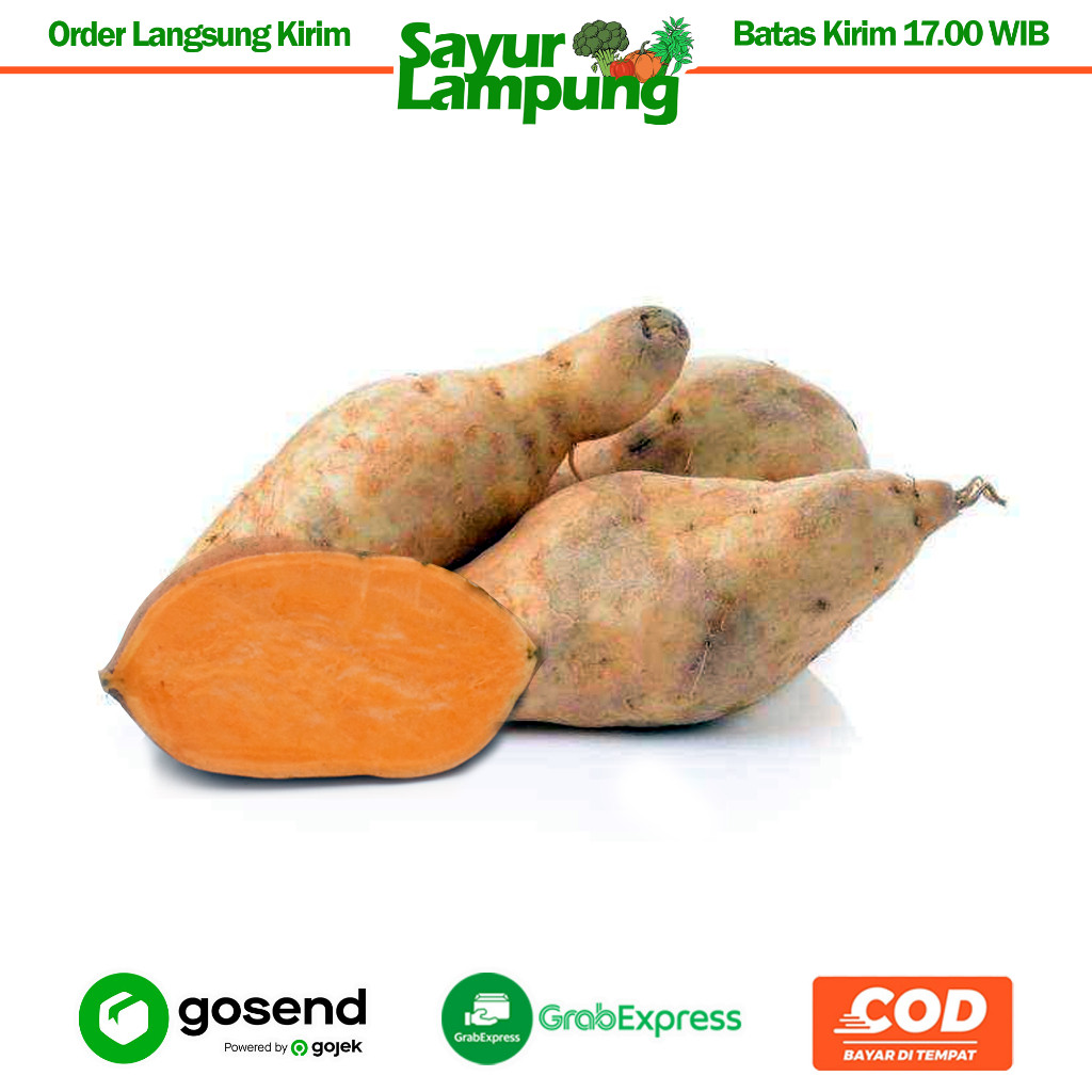 

Ubi Madu/Mantang Madu 1 Kg - Sayur Lampung