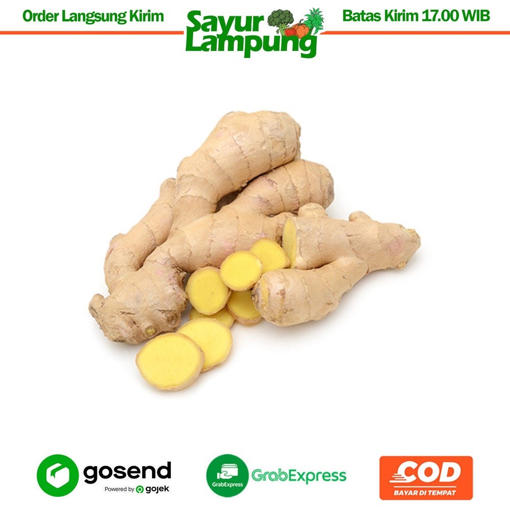 

Jahe Segar 1 Kg - Sayur Lampung