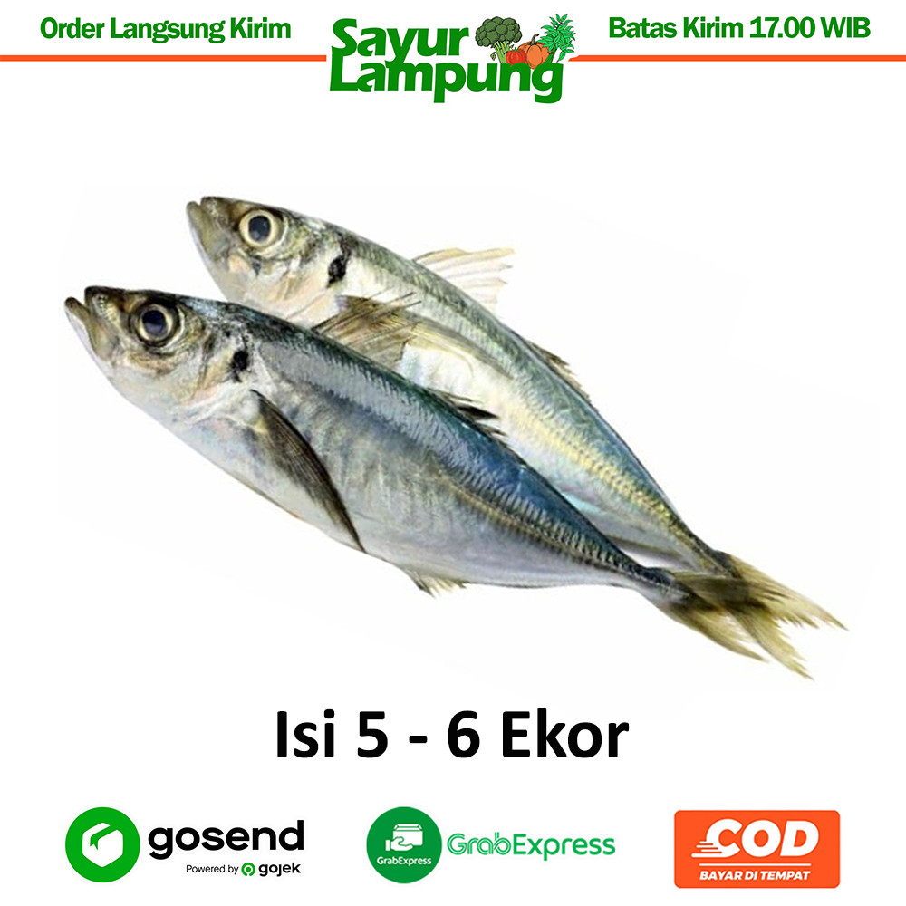 

Ikan Layang Segar 250 Gr - Sayur Lampung