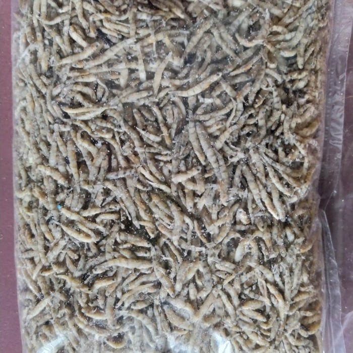 

Ikan Duo / Penja Kering - Asli Palu - 1Kg